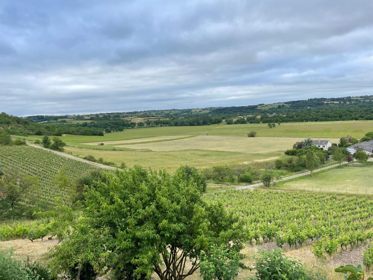 Maison Des Coteaux Blancs Chaudefonds-sur-Layon Exterior foto