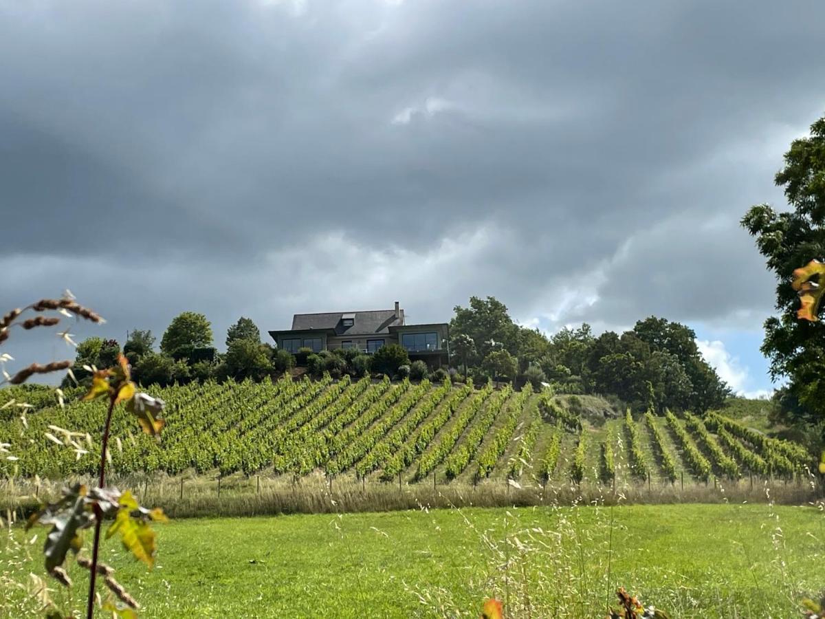 Maison Des Coteaux Blancs Chaudefonds-sur-Layon Exterior foto